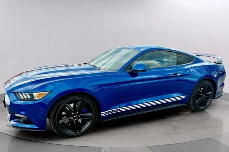 Mustang_2