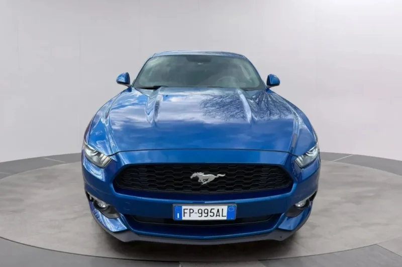 Mustang_3