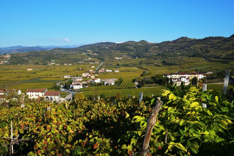 Prosecco Wine Tour